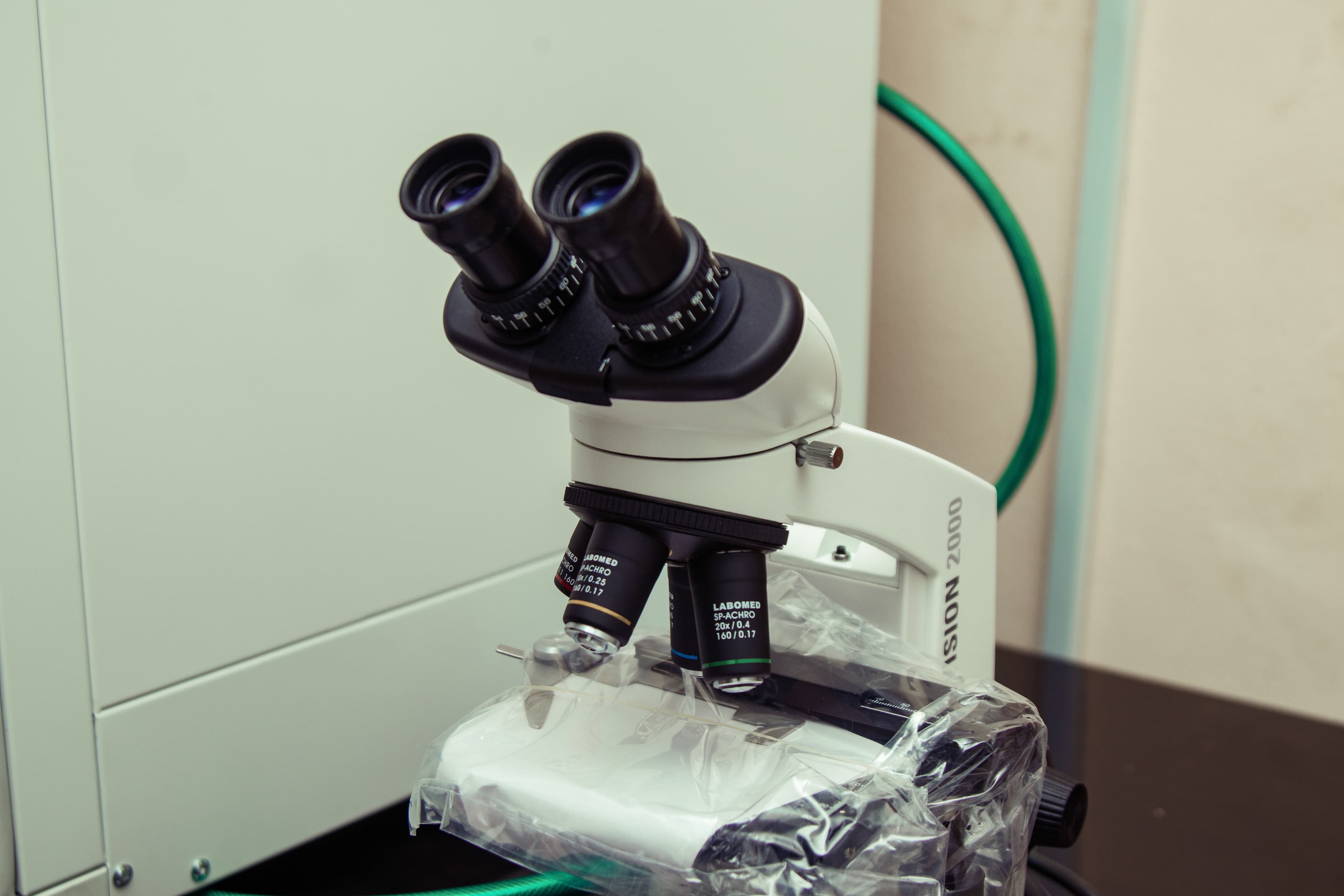 In Vitro Fertilization (IVF)