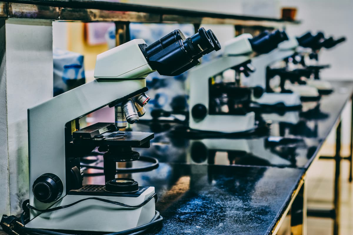 microscope